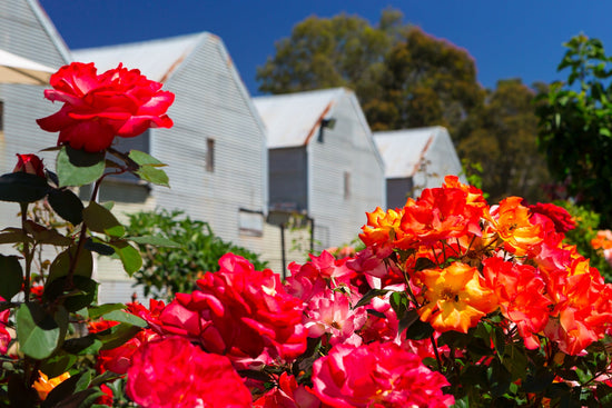 Stay in the King Valley