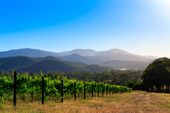 Citi King Valley Escape Competition - Terms and Conditions