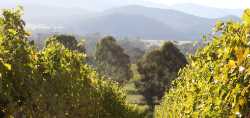 Girls Trekking Adventure King Valley
